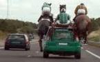Doubs: une vingtaine de chevaux sur l'A36