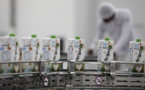 La soif d'eau de coco stimule la production brésilienne