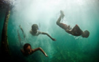 Première preuve d'une adaptation génétique à la plongée (étude)