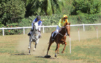 Reprise au petit trot pour les courses hippiques le 1er mai