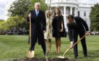 Mais où est passé l'arbre planté par Trump et Macron ?