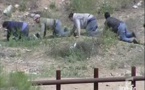 USA: forte hausse du nombre de passages illégaux à la frontière mexicaine