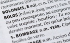 Un "schmutz" sous la "gouttine": les nouveaux mots des dictionnaires