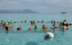 "Tere nā tai", une balade sur le lagon avec Tahiti Tourisme
