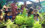 Les écoles de Punaauia prennent "la route des potagers" bio