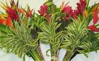 Fleurs et feuillages de Tahiti à l’export
