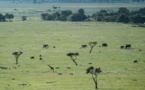 Kenya: recherches en cours pour localiser un avion accidenté avec 10 passagers
