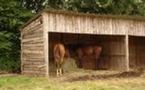 Des abris pour les animaux