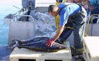 Pêche hauturière : poursuite de la restructuration avec les professionnels