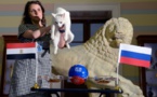 Achille le chat mise encore sur la Russie contre l'Egypte