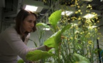 Une nature sous cloche pour mieux comprendre l'impact humain