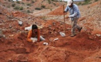 Découverte d'un dinosaure géant vieux de plus de 200 millions d'années
