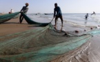 En mer d'Arabie, une inquiétante "zone morte" ne cesse de s'étendre