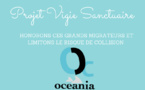 Protection des baleines : OCEANIA lance son projet « Vigie sanctuaire »