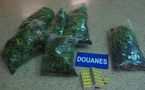 Le trafiquant sème ... la douane récolte
