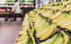 Chlordécone/bananes: le gouvernement va revoir les limites autorisées dans les aliments