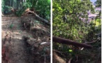 Miri : un bulldozer défigure le chemin qui mène au mont Marau