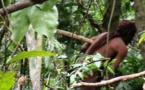 Un drone filme des images inédites d'un peuple isolé d'Amazonie