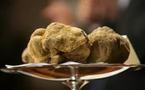 Italie: une truffe blanche de 100.000 euros à la cantine des pauvres
