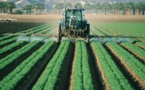Les pesticides néonicotinoïdes interdits à partir de samedi