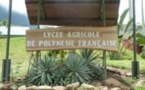 Lycée agricole d'Opunohu : Il reste des places vacantes en 2nde professionnelles