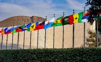 Coup d'envoi à l'ONU de négociations sur un traité protégeant la haute mer