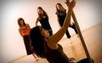 Loin des bars à strip-tease, le "pole-dancing" veut se refaire une virginité