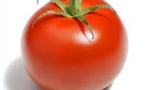 Le pigment rouge de la tomate aide à prévenir le diabète lié à l'obésité