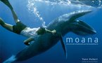 MOANA, rencontre avec la biodiversité sous-marine polynésienne.