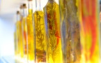 Qualité, étiquetage: une huile d'olive sur deux non conforme