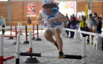 En Vendée, un championnat du monde de cheval... sans chevaux