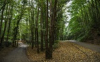 Khashoggi : recherches dans une forêt, une crise majeure se profile entre Ryad et ses alliés