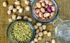 Légumineuses, sources de protéines, bien ancrées dans le paysage culinaire