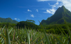 Une journée pour (re)découvrir Moorea avec Tahiti Tourisme