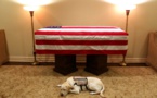 Le chien de George H. W. Bush l'accompagne pour son dernier voyage