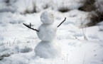 Colorado : un enfant met fin à l'interdiction des batailles de boules de neige