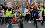 Pour le climat, "gilets verts et gilets jaunes" défilent en nombre