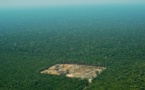 La déforestation en Amazonie sous l'oeil des satellites