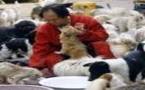 Chine: des centaines de chiens échappent à la marmite