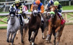 30 Millions d'amis interpelle le monde des courses après une vidéo sur un abattoir de chevaux