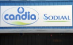 Rappel de Sodiaal: 38.016 litres de lait concernés, essentiellement en restauration collective