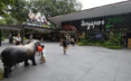 A Singapour, les foudres écologistes sur un projet écotouristique