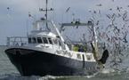 La pêche en eau profonde: peu de bateaux mais un impact écologique majeur