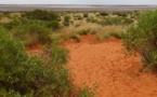 Australie: une Allemande de 62 ans perdue dans le bush, la police pessimiste