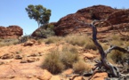 Australie: découverte du corps d'une touriste allemande portée disparue