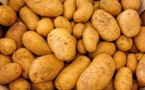 Bombe de terre: une grenade de la Grande Guerre dans des patates françaises