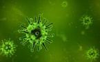 L'épidémie de grippe s'intensifie et a déjà fait plus de mille morts