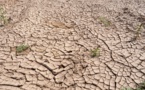 2015-2018: période la plus chaude depuis le début des relevés météo