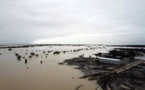 Inondations en Australie : une hécatombe redoutée pour le bétail