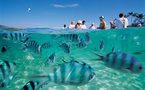 Tourisme: La destination Fidji refait le plein en Australie… Et ailleurs